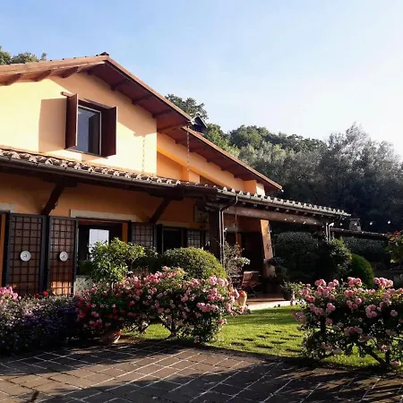 La Cerasa - Il Fuori * Bracciano