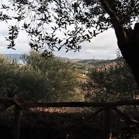 Prázdninový dům La Cerasa - Il Fuori