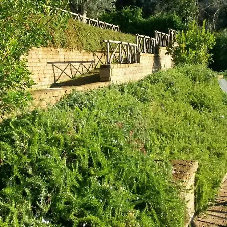 La Cerasa - Il Fuori * Bracciano