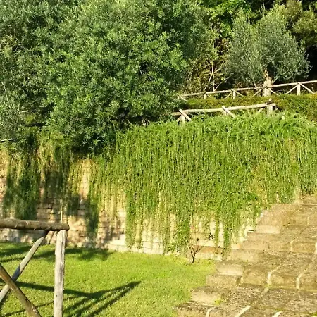 La Cerasa - Il Fuori Nyaraló