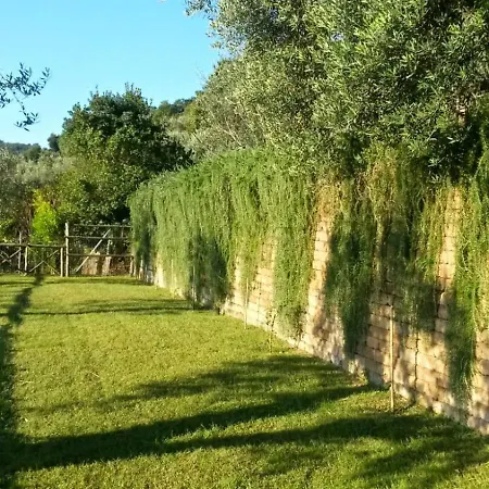 La Cerasa - Il Fuori Bracciano