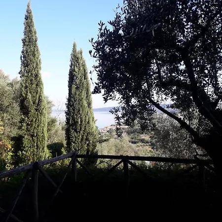 La Cerasa - Il Fuori Nyaraló Bracciano