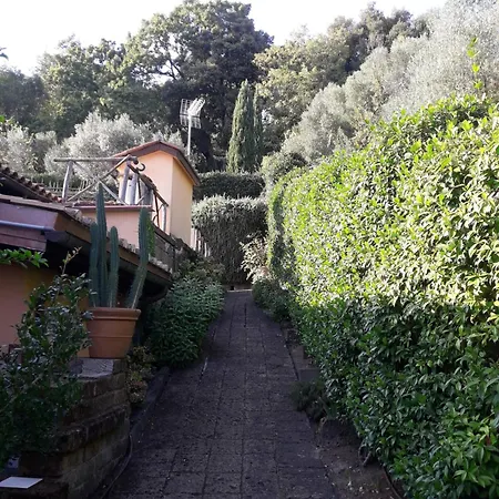 La Cerasa - Il Fuori Nyaraló Bracciano