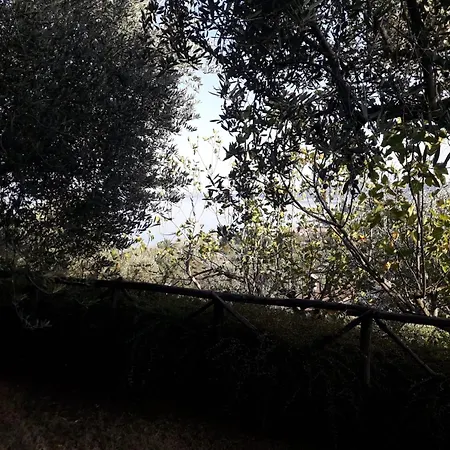 La Cerasa - Il Fuori